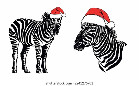 Vector two zebras in red Santa Claus hat on white isolated, Christmas illustration