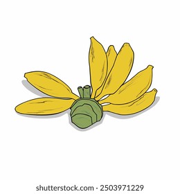 vector type banana fruit, banana stickers, banana wallpaper