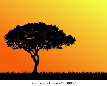 Vector of a typical African tree in silhouette. For the jpg-version, see my portfolio please (click on my name).