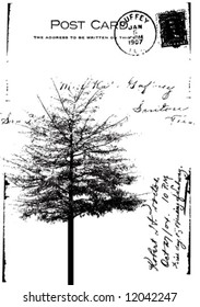 vector typographic background