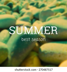 Vector typographic summer on blurred background. Retro color. Nature design. Eps10