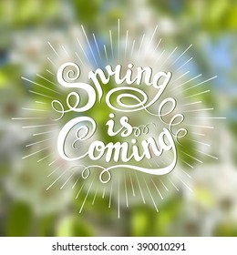 Vector typographical lettering design. Spring is coming. Light rays of burst. Ink sunbursts. Lettering on blurred background. Mesh blurred background. Spring blurred background. Template for poster. 