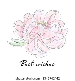 Vector typography slogan with peony flower illustration. Hand drawn botanical sketch. Romantic drawing wedding design