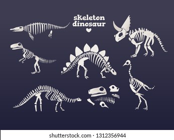 Vector Tyrannosaurus, Diplodocus, Triceratops Dinosaur Fossil Skeleton Set. Prehistoric Predator, Jurrasic Giant Animal Icon. Paleontologu And Archeology Artifact. T-rex Monster White Silhouette.