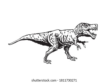 Vector tyrannosaurus isolated, graphical illustration of dinosaur