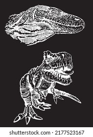 Vector tyrannosaurus and portrait of varan , graphical elements isolated on black