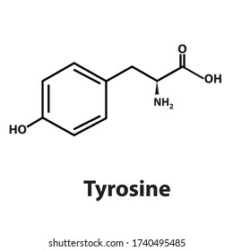 Vector of Tyrosine chemical structure
