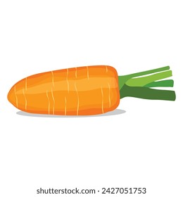 Ilustración vectorial de zanahoria única o zanahoria establecida en estilo plano de dibujos animados. Dibujo animado de raíz de verduras de naranja aislado sobre un fondo blanco. Agricultura orgánica fresca y saludable