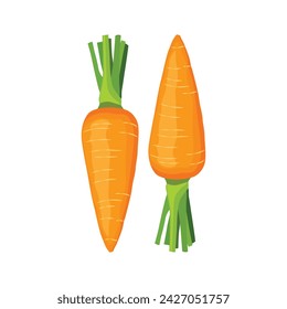 Vector uillustration of single carrot or carrot set in cartoon flat style. Cartoon orange root vegetables isolated on a white background. Fresh, healthy organic farming