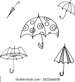 Vector with umbrellas of common species