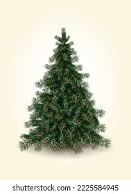 Vector unadorned Christmas tree in realistic style. Bushy fir tree for card, poster, party invitation, winter sale ad. Illustration of Christmas and New Year attribute. Spruce tree with shadow