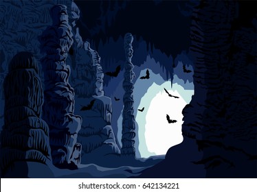 Vector underground karst cave with bats