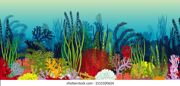Vector underwater coral reef horizontal seamless pattern. Undersea bottom texture.