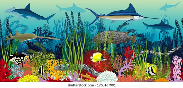 Vector underwater coral reef horizontal seamless pattern. Undersea bottom texture with colorful tropical fishes and sharks