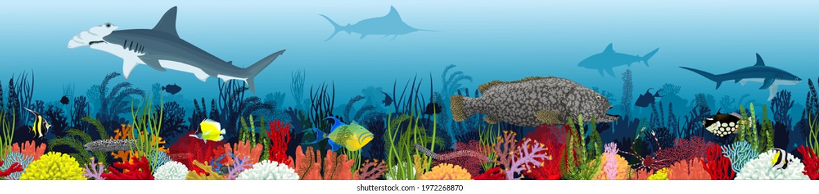 Vector underwater coral reef horizontal seamless pattern. Undersea bottom texture with colorful tropical fishes and sharks 