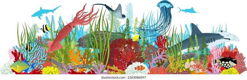 Vector underwater coral reef illustration. Undersea with colorful tropical fishes, squid, hammerhead shark and Jellyfish
