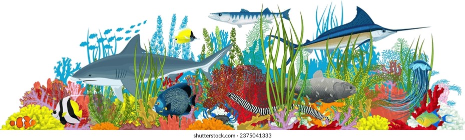 Vector underwater coral reef illustration. Undersea with colorful tropical fishes, barracuda, coelacanth, white shark and jellyfish