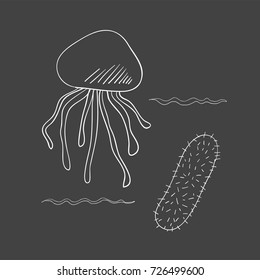 Vector of underwater creatures