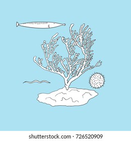 Vector of underwater creatures