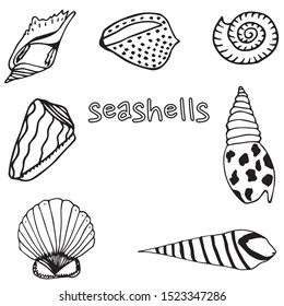 Vector underwater sea cartoon. Various seashells. Great for web page background, wrapping paper, cards,notebook and invitation