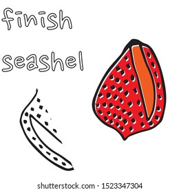 Vector underwater sea cartoon. Various seashells. Great for web page background, wrapping paper, cards,notebook and invitation