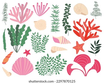 Vector underwater seaweed set. Different kinds corals, algae and sea shells set