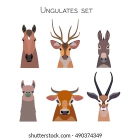 Vector ungulates cloven hoofed animals set. Lama, deer, antelope, donkey, horse cow bull illustration isolated. Poster, banner, print, advertisement, web design element object. Flat, cartoon style