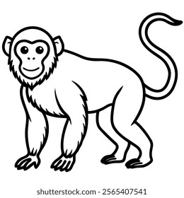 Vector unique monkey image line art on white background