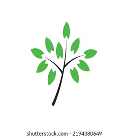 vector unique tree icon isolated on white background