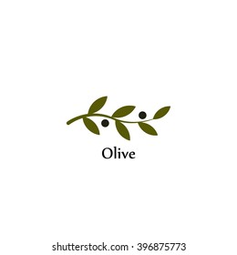 Vector Unusual Olive Branch Isolated Logo, Icon, Illustration And Symbol Template. 