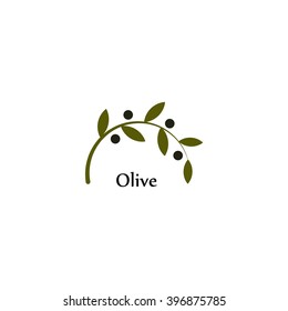 Vector Unusual Olive Branch Isolated Logo, Icon, Illustration And Symbol Template. 