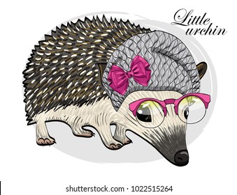 Vector urchin with knitted hat and glasses. Hand drawn illustration of dressed hedgehog.