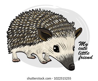 Vector urchin. Little hedgehog.