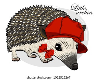 Vector urchin with red cap and bow. Hand drawn illustration of dressed hedgehog.