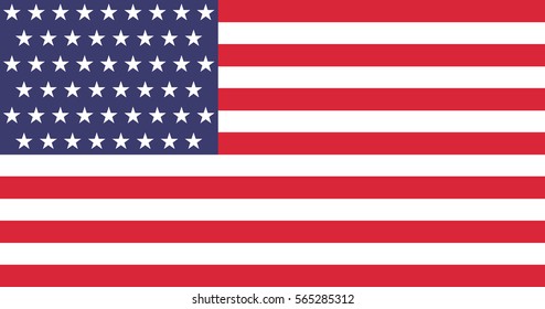 Vector USA 51 star flag