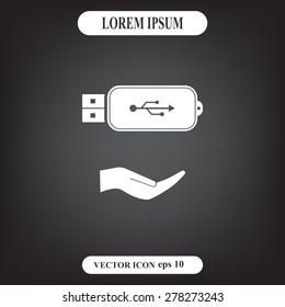Vector usb flash drive icon