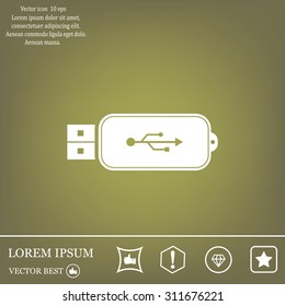 Vector usb flash drive icon