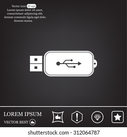 Vector usb flash drive icon
