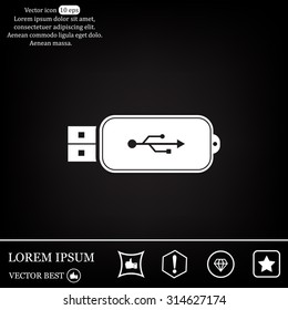 Vector usb flash drive icon