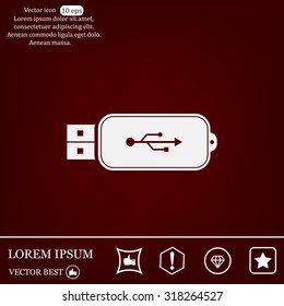 Vector usb flash drive icon