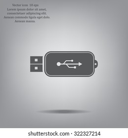 Vector usb flash drive icon