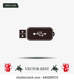 Vector usb flash drive icon