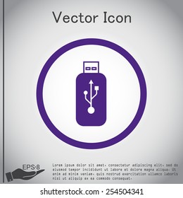 Vector usb flash icon disk