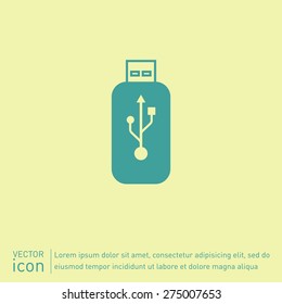 Vector usb flash icon disk