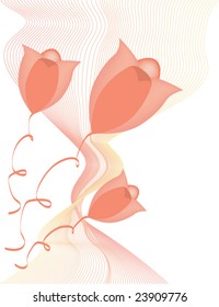 vector valentine card with pink tulips on white background