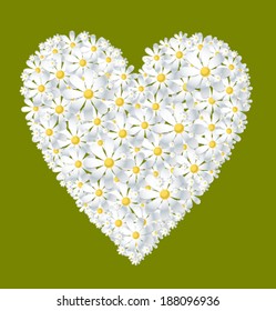 vector valentine chamomile