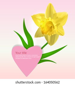 Vector Valentine's background with Narcissus flower