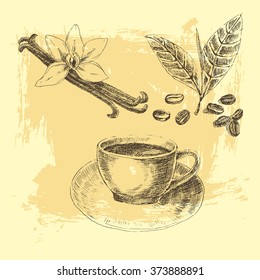 vector vanilla coffee sketch drawing. food illustration - coffee and cocoa beans
