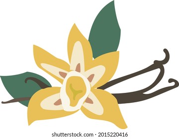vectorial flor vainilla planta de orquídea amarilla blanca eps 10