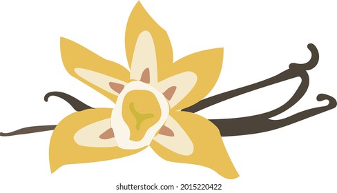 vectorial flor vainilla planta de orquídea amarilla blanca eps 10
